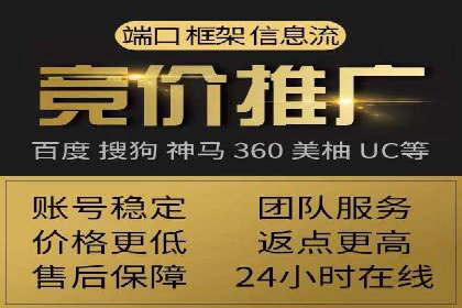 解析某某SEM服务公司的广告投放策略与效果评估